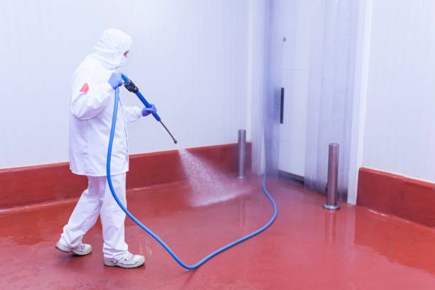 Best Oil Spill Cleanup  in Mccrory, AR